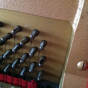 stimmstock2.jpg
