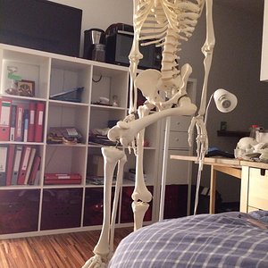image.jpg