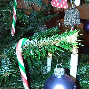 IMG_20151224_173738-2.jpg