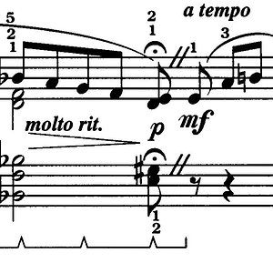 tremolo.jpg