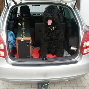 IMG-20140913-WA0000.jpg