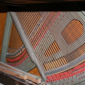 IMG_3843.jpg