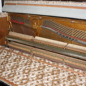 IMG_3838.jpg