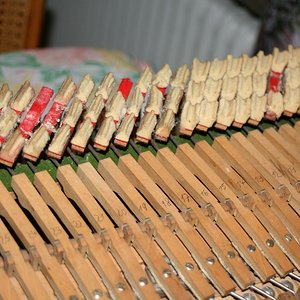 IMG_3850.JPG