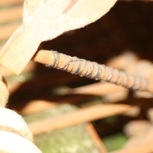 IMG_3855.JPG