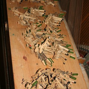 IMG_3857.JPG