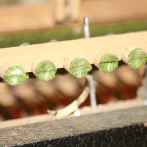 IMG_3862.jpg