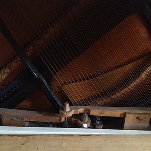 Foto 1.JPG