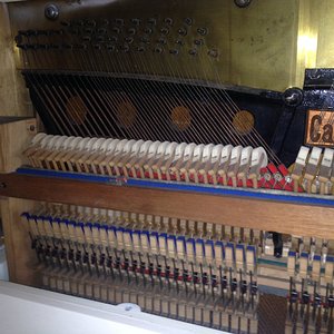 Foto 4.JPG