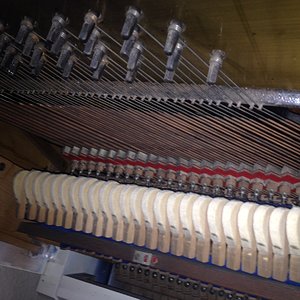 Foto 7.JPG