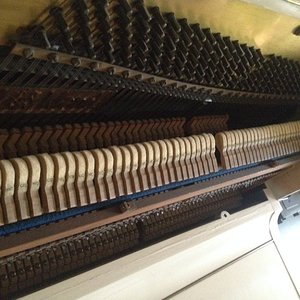 Foto 8.JPG