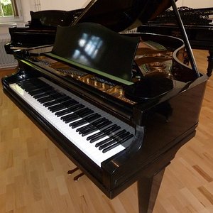 Bechstein-L-500x667.jpg