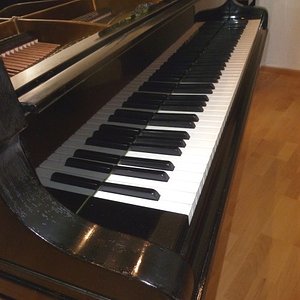 Bechstein-L-web8 500x667.jpg