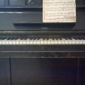 WP_20160614_003_1.jpg