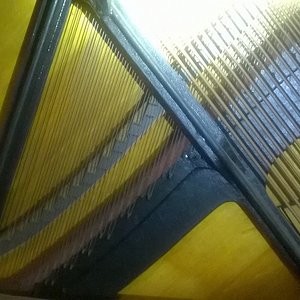 WP_20160615_017_1.jpg