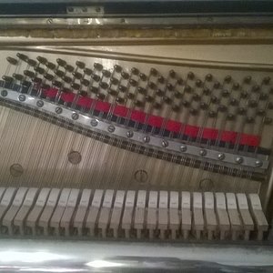 WP_20160615_002_1.jpg