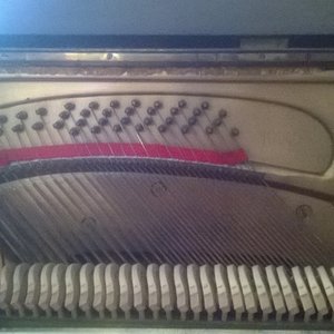 WP_20160615_003_1.jpg