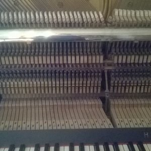 WP_20160615_006_1.jpg