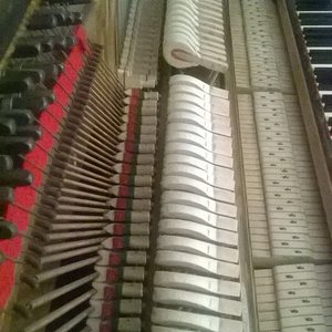 WP_20160615_007_1.jpg