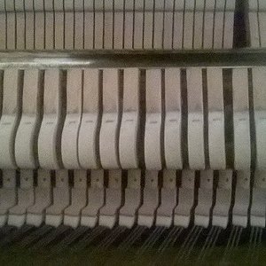 WP_20160615_008_1.jpg