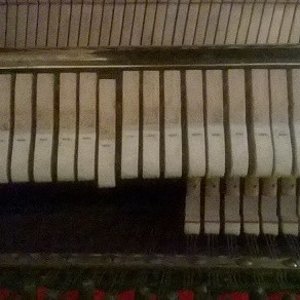 WP_20160615_009_1.jpg