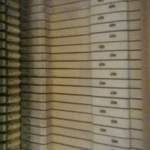 WP_20160615_011_1.jpg