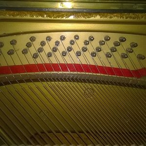 WP_20160615_022_2.jpg