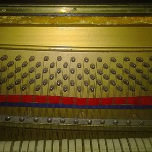 WP_20160615_024_2.jpg