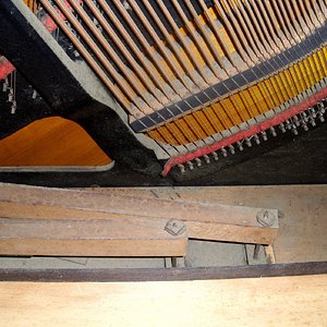Resonanzboden 4.jpg