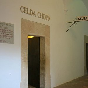 IMG_3504.JPG