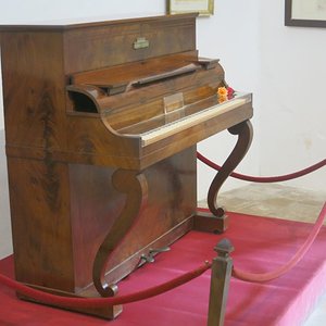 IMG_3485.JPG