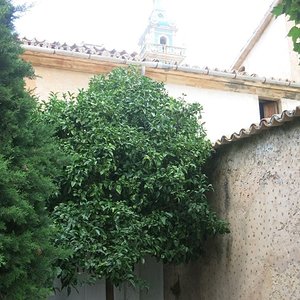 IMG_3501.JPG