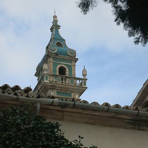 IMG_3500.JPG