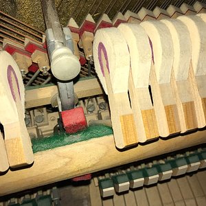 IMG_0255.jpg