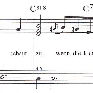 C sus.JPG