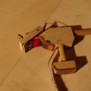 IMGP5117.JPG