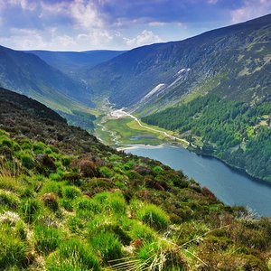 11 wicklow mountains.jpg