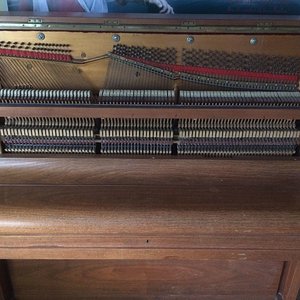 IMG-20170327-WA0001.jpg