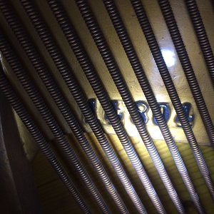 IMG-20170329-WA0001.jpg