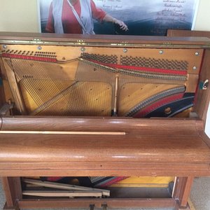 IMG-20170329-WA0007.jpg