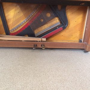 IMG-20170329-WA0008.jpg