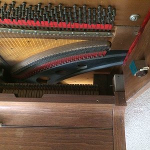 IMG-20170329-WA0002.jpg