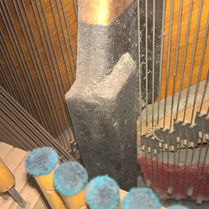 WP_20170402_19_42_48_Pro_LI.jpg