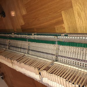 IMG_6229.JPG
