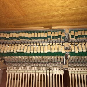 IMG_6232.JPG