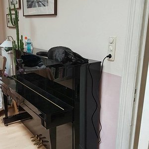 IMG-20170530-WA0002.jpg