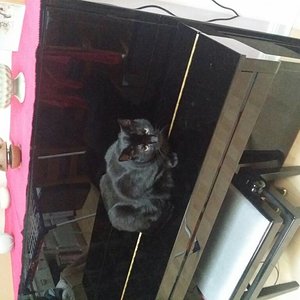 20170531_193434.jpg