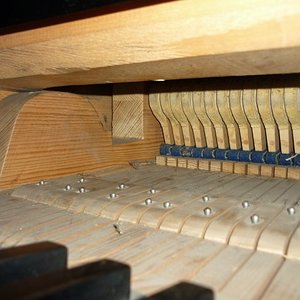 0005Wiener Flügel Heinisch Modell 3.JPG