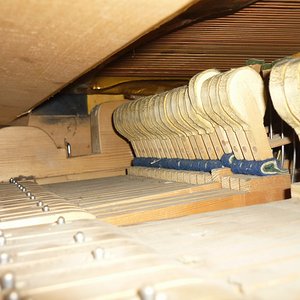 0008Wiener Flügel Heinisch Modell 3.JPG