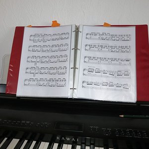Ringbuch.jpg